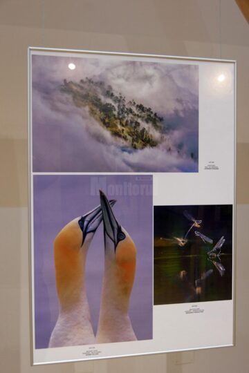 Cele mai bune lucrări ale Salonului de Artă Fotografică „Bucovina - Mileniul III”, vernisate la Muzeul de Istorie