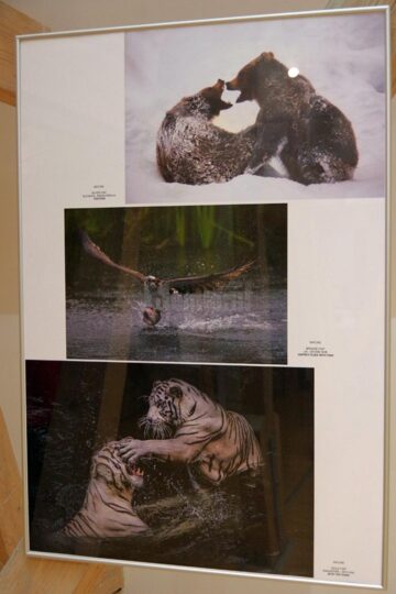 Cele mai bune lucrări ale Salonului de Artă Fotografică „Bucovina - Mileniul III”, vernisate la Muzeul de Istorie