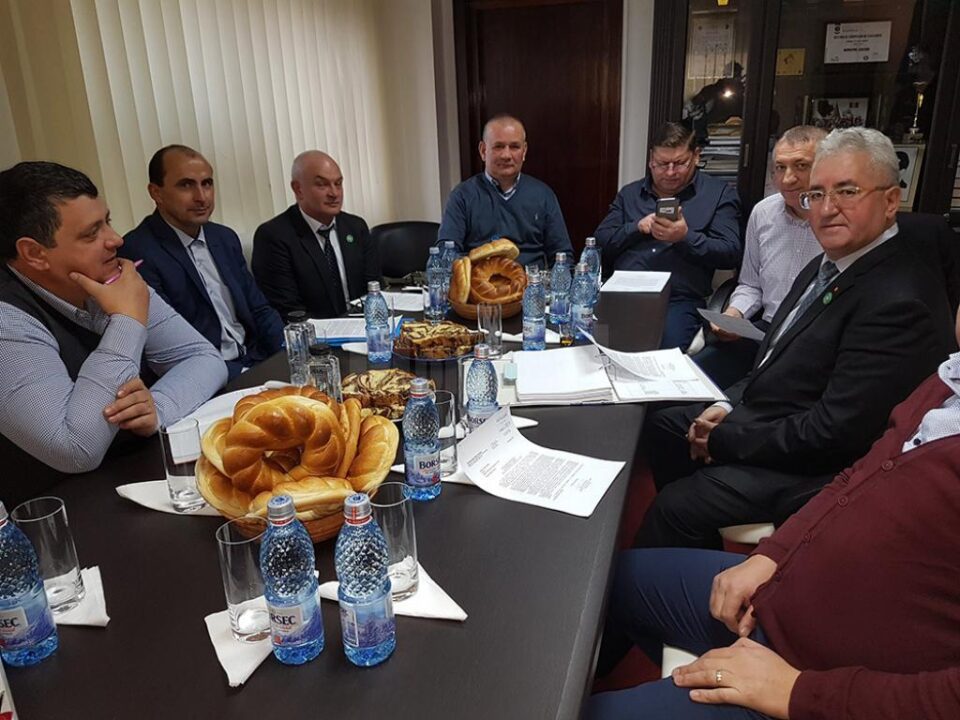 Cinci proiecte de peste 6,2 milioane de euro fiecare, propuse spre finanțare de primarii Zonei Metropolitane Suceava