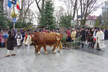 Plugul tras de boi a deschis și anul acesta parada obiceiurilor de iarnă