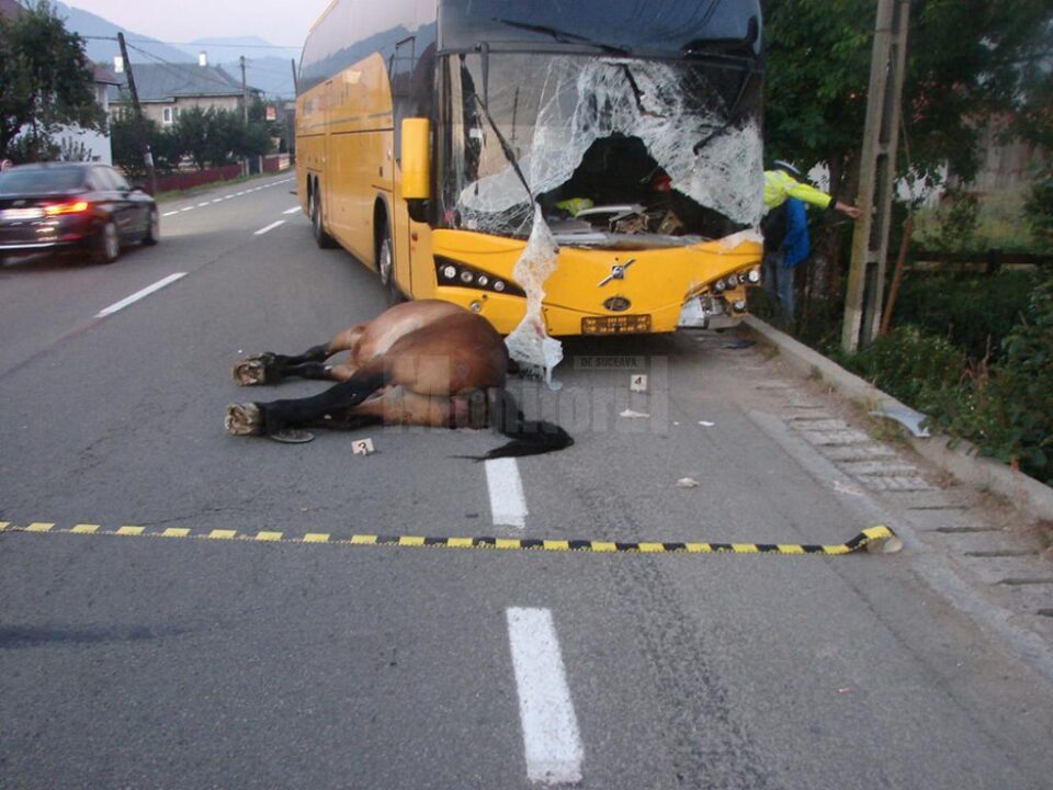 Accidentul s-a petrecut la finele lunii august a anului 2015, pe DN 17, care leagă Suceava de Ardeal, pe raza comunei Vama
