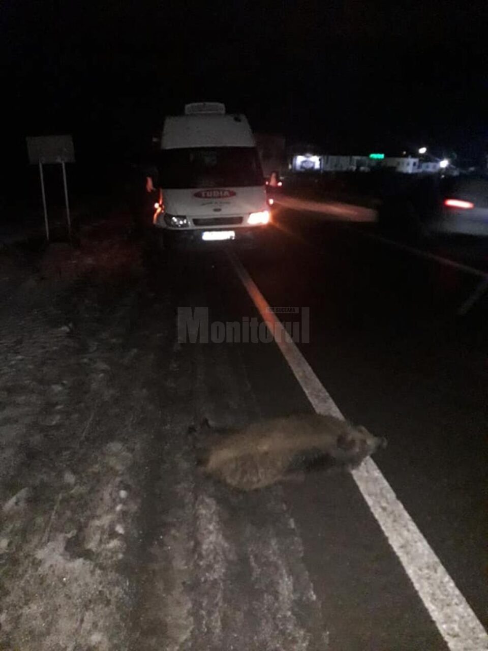 O autoutilitară a intrat într-un mistreț, pe E 85