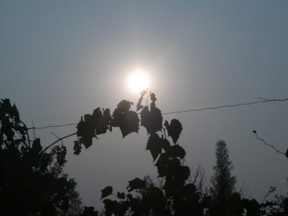 Pictura neclară a sufletului nostru