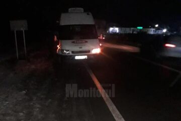O autoutilitară a intrat într-un mistreț, pe E 85