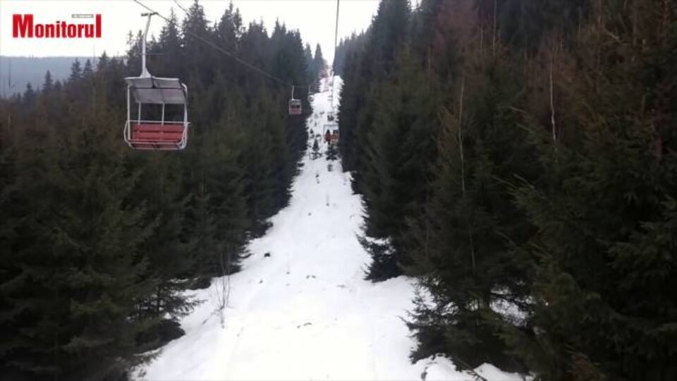Țara Dornelor
