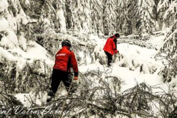 După ce au îndepărtat peste 40 de arbori căzuți la pământ, salvamontiștii dorneni au reușit să redeschidă drumul care duce spre cabana și vârful Giumalău