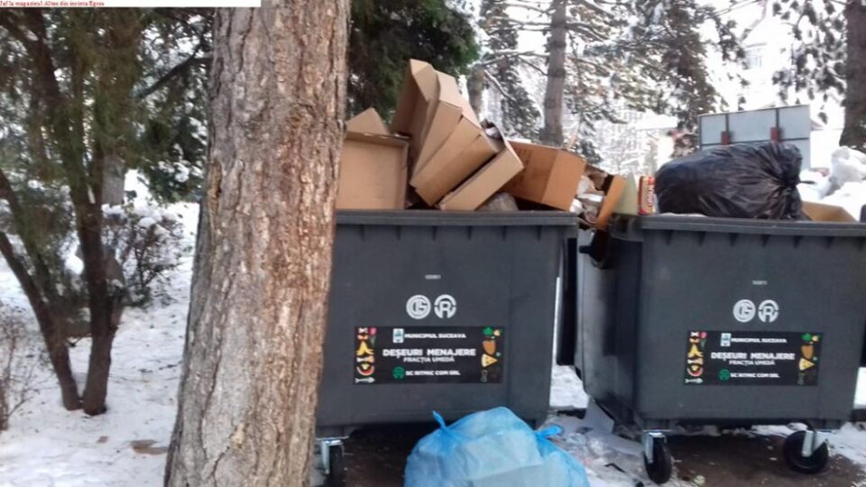 Au apărut hoții de deșeuri reciclabile din tomberoanele firmelor de salubrizare