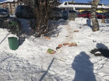 Coșurile de gunoi și băncile din Parcul Șipote, distruse de vandali Foto: Lăcrămiaora Georgeta