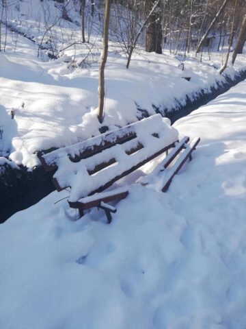 Coșurile de gunoi și băncile din Parcul Șipote, distruse de vandali Foto: Lăcrămiaora Georgeta