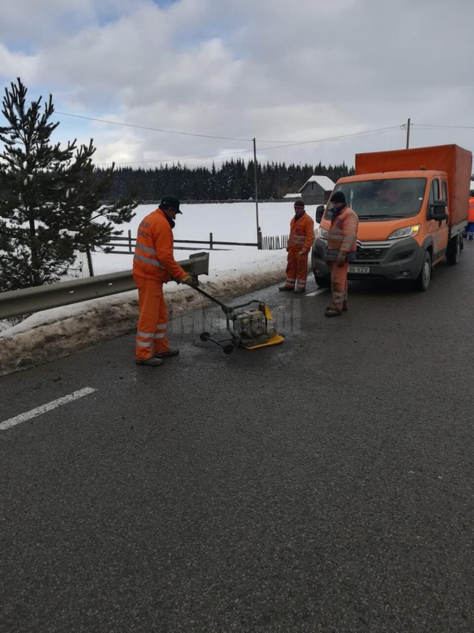 Lucrări executate la Poiana Stampei
