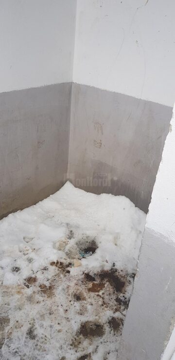 Elevii de la Siliștea Nouă, Dolhasca, tremură de frig în sălile de clasă
