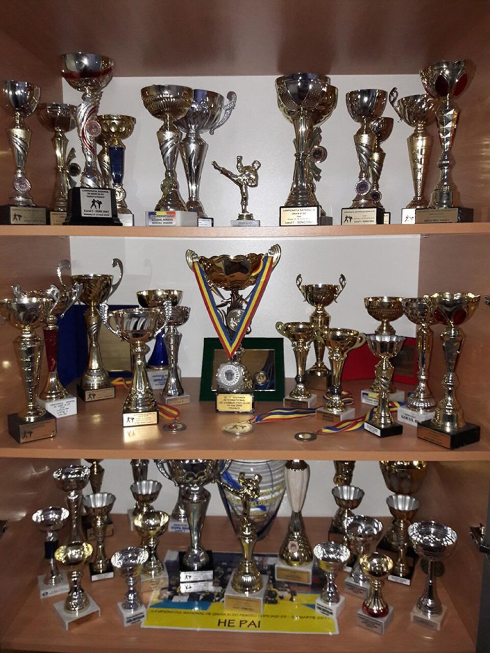 Clubul He Pai Suceava a fost premiat de Federația Română de Qwan Ki Do pentru cele mai bune rezultate la nivel național pe 2018