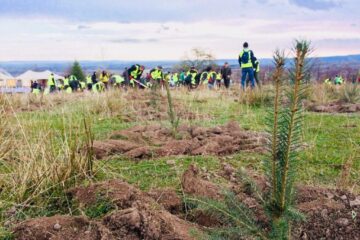 Padurea de maine - programul de împădurire inițiat de Holzindustrie Schweighofer, care prevede plantarea a un milion de puieți de arbori