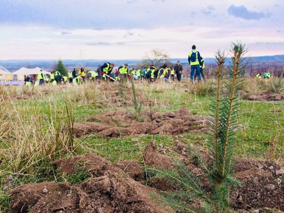 Pădurea de mâine - programul de împădurire inițiat de Holzindustrie Schweighofer, care prevede plantarea a un milion de puieți de arbori Pădurea de mâine - programul de împădurire inițiat de Holzindustrie Schweighofer, care prevede plantarea a un milion de puieți de arbori