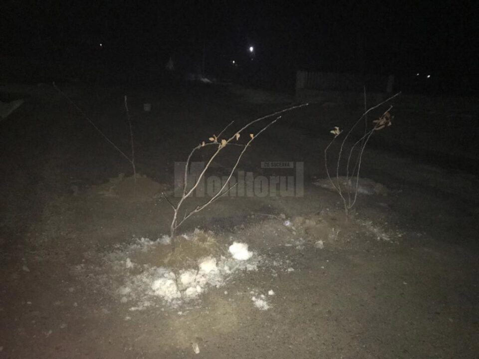 Gropi astupate cu pământ și crengi, pe strada principală din Mitocu Dragomirnei