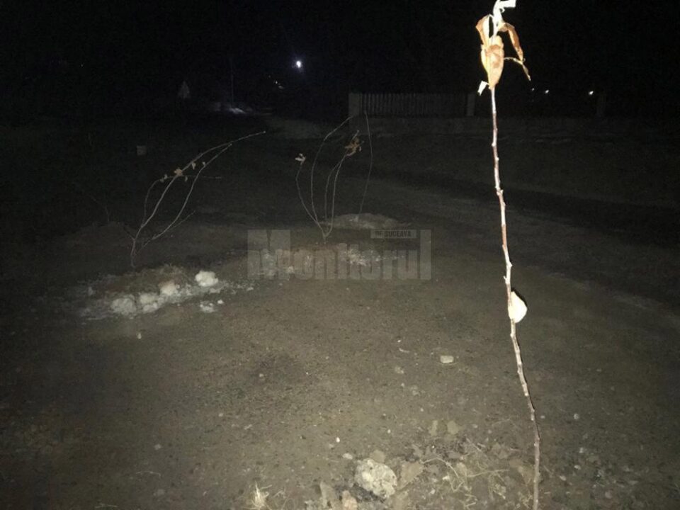 Gropi astupate cu pământ și crengi, pe strada principală din Mitocu Dragomirnei