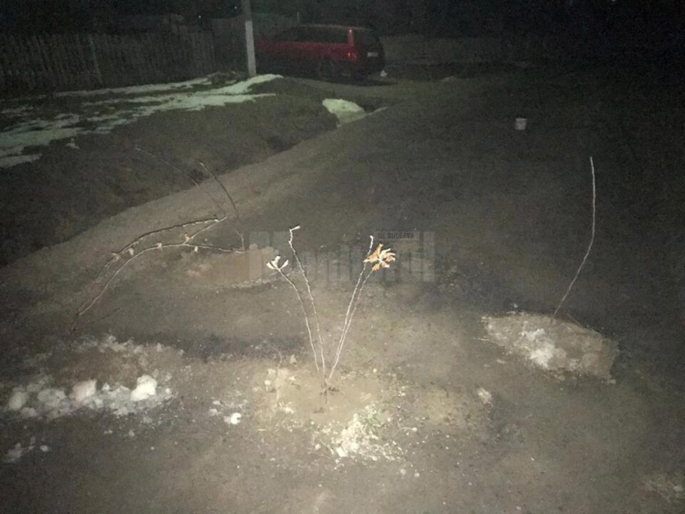 Gropi astupate cu pământ și crengi, pe strada principală din Mitocu Dragomirnei