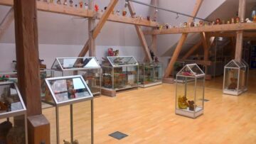 Lacrimi și scandal la expoziția „Jucăriile din Pod”, de la Muzeul de Istorie din Suceava