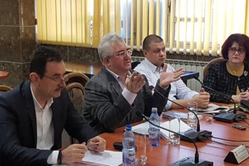 Toaletarea sau îndepărtarea arborilor se face după reguli stricte, amenzile pe care le riscă municipalitatea fiind foarte mari