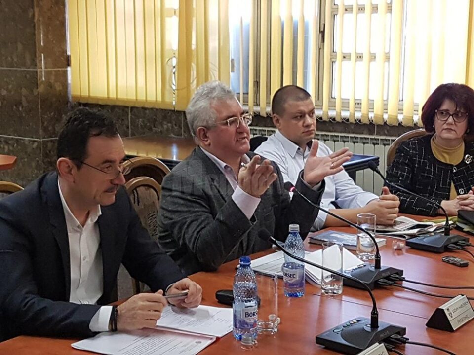 Toaletarea sau îndepărtarea arborilor se face după reguli stricte, amenzile pe care le riscă municipalitatea fiind foarte mari