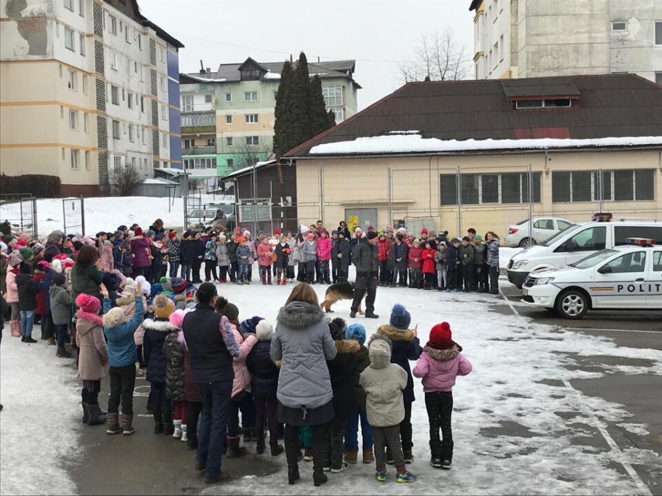 Proiectul Școala siguranței Tedi, la Școala Gimnazială Nr. 2 Vatra Dornei
