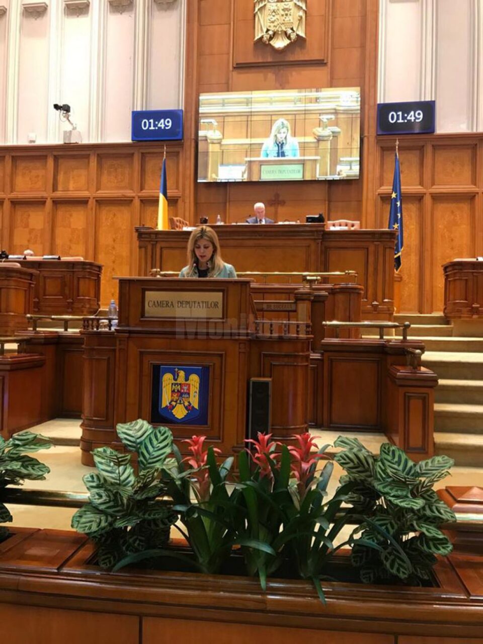 Deputatul PSD de Suceava Maricela Cobuz Deputatul PSD de Suceava Maricela Cobuz