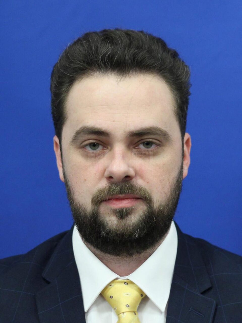 Nicolae Miroslav Petrețchi, deputat din partea minorității ucrainene
