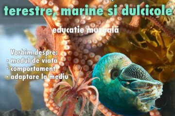 Moluște marine, terestre și dulcicole, de luni, la Muzeul de Științele Naturii
