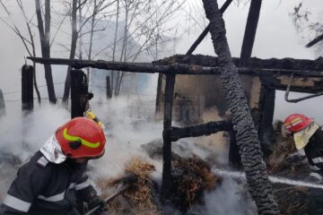 În incendiul de la Corocăiești a fost distrusă bucătăria de vară a familiei și adapostul de animale, un cal și doi câini pierind în flăcari