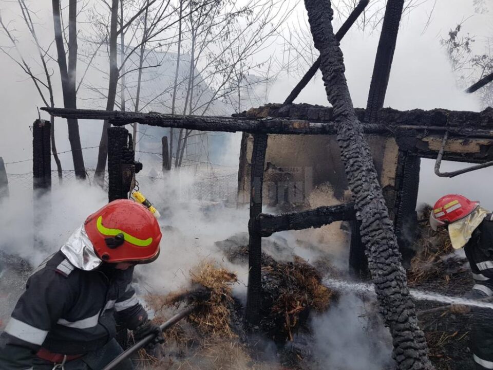 În incendiul de la Corocăiești a fost distrusă bucătăria de vară a familiei și adapostul de animale, un cal și doi câini pierind în flăcari În incendiul de la Corocăiești a fost distrusă bucătăria de vară a familiei și adapostul de animale, un cal și doi câini pierind în flăcari
