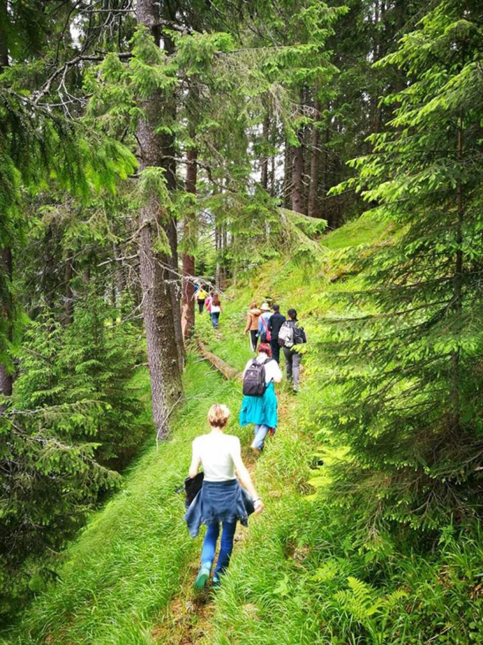 Sucevenii, invitați să participe la Concursul Internațional „Tineri în pădurile Europei”