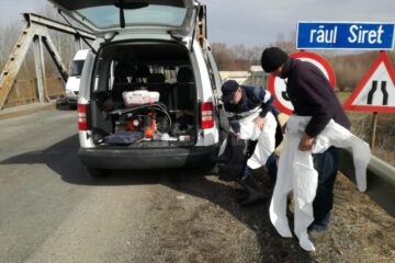 Animalele au fost asomate imediat la fața locului și duse direct la incinerare