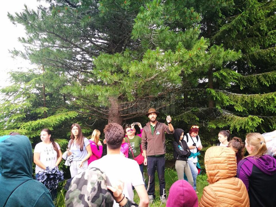 Tineri în pădurile Europei