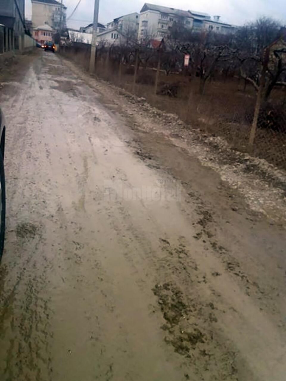 Strada Traian Popovici, una dintre zecile de străzi de pământ care urmează să fie asfaltate anul acesta Strada Traian Popovici, una dintre zecile de străzi de pământ care urmează să fie asfaltate anul acesta