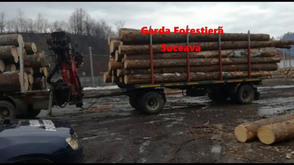 Sancțiuni de 343.000 de lei aplicate de Garda Forestieră Suceava într-o săptămână