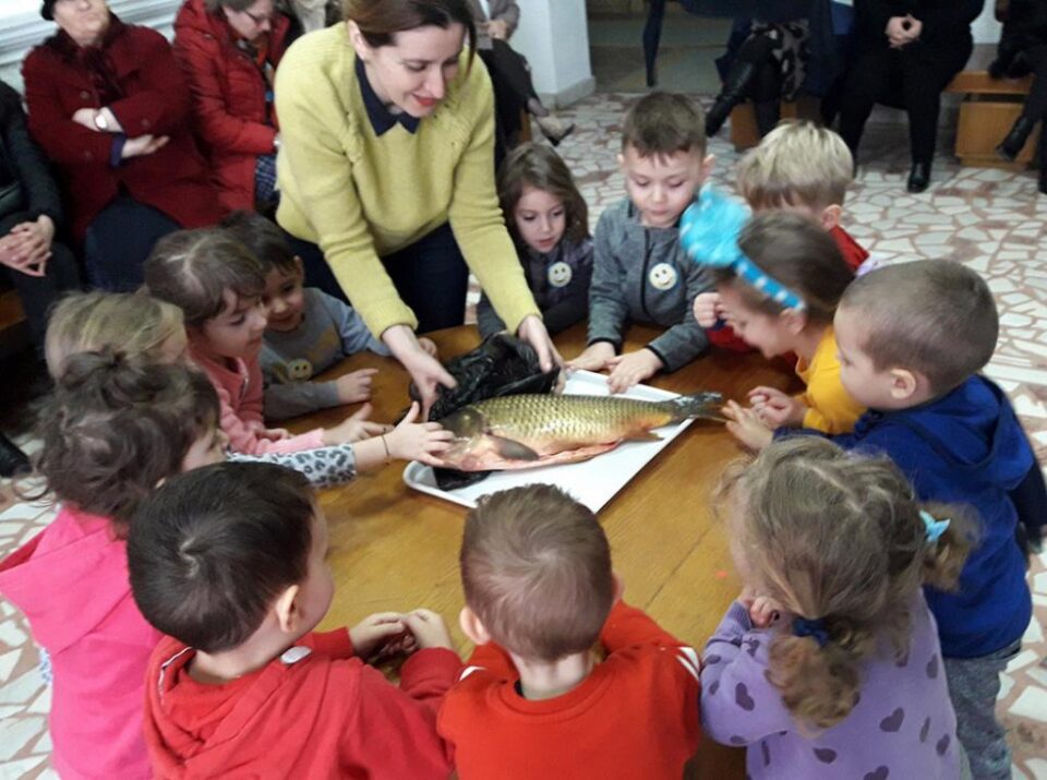 Cursurile de formare pentru cadrele didactice din învățământul preșcolar din municipiul și zona Fălticeni