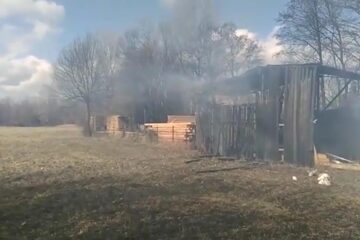 Flăcările au cuprins hala de producție și câteva stive cu scânduri din apropiere