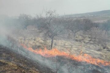 Incendiile de vegetație, o mare problemă în aceste zile