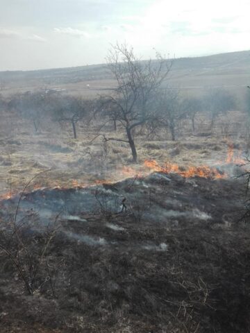 Zeci de incendii de vegetație uscată, în câteva zile
