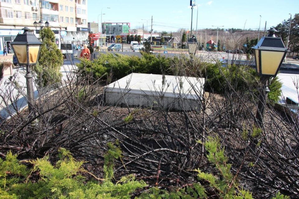 Focul a afectat arbustii de tuia si doua felinare din zona amenajata a pietei centrale