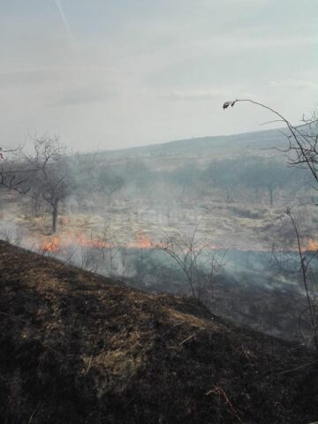 Zeci de incendii de vegetație uscată, în câteva zile