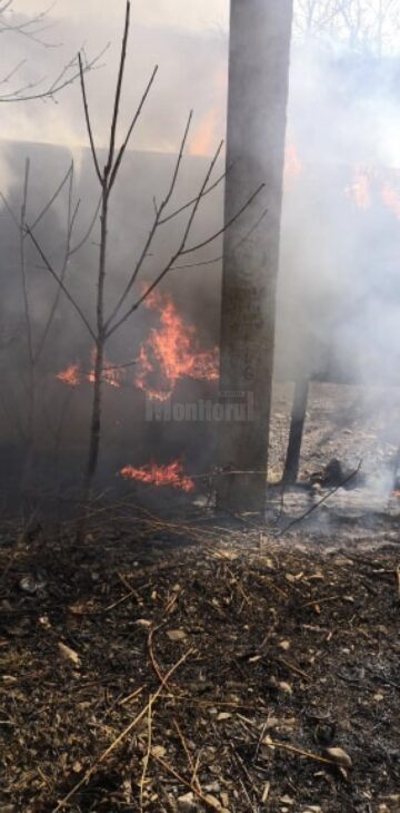 Zeci de incendii de vegetație uscată, în câteva zile
