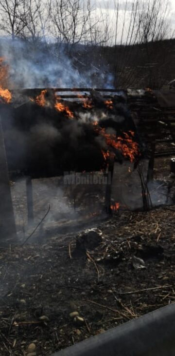 Zeci de incendii de vegetație uscată, în câteva zile