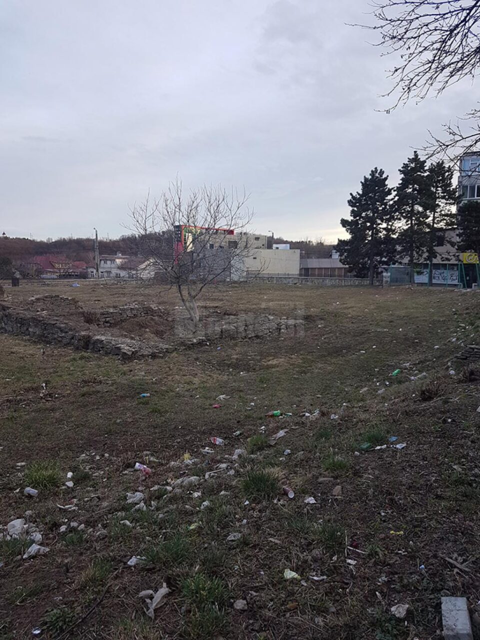 Ruinele de la Curtea Domnească, transformate în depozit de gunoaie de trecători