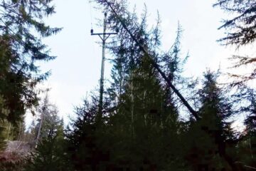 Opt localități sucevene fără energie electrică, din cauza vântului puternic