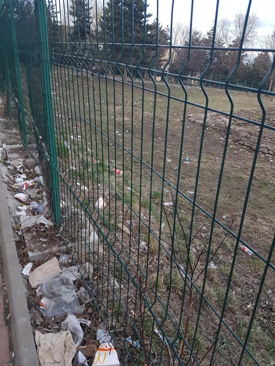 Ruinele de la Curtea Domnească, transformate în depozit de gunoaie de trecători