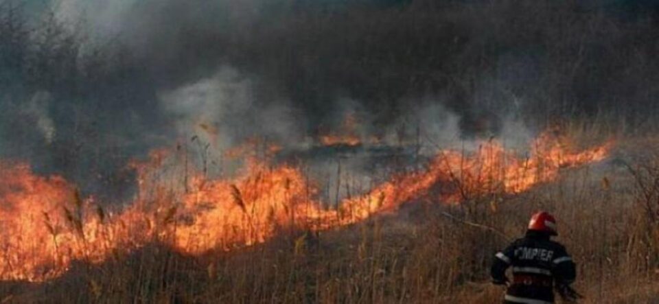 Două incendii de vegetație s-au extins pe aproape 25 de hectare, punând în pericol pădurea