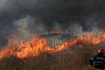 Două incendii de vegetație s-au extins pe aproape 25 de hectare, punând în pericol pădurea
