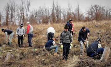 Direcția Silvică Suceava a dat startul campaniei de împădurire a 1.670 de hectare în această primăvară
