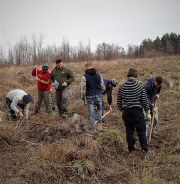 Direcția Silvică Suceava a dat startul campaniei de împădurire a 1.670 de hectare în această primăvară